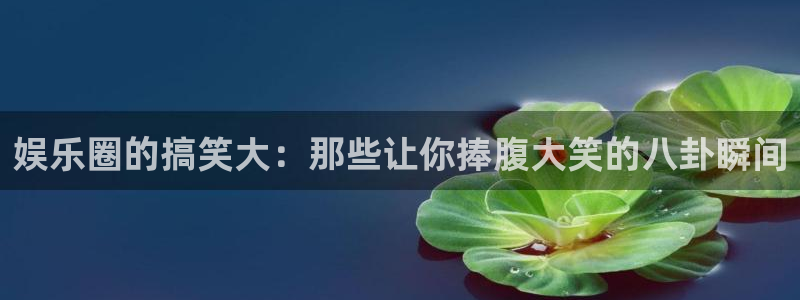 新宝gg官网登录