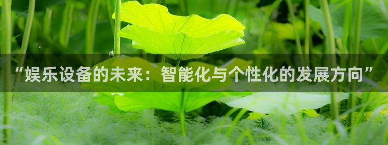 新宝gg网址