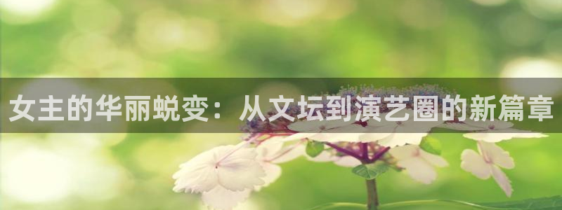新宝gg官网登录
